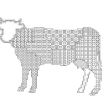 Kuh 4