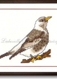 Stickpackung - Vogel