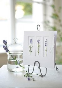 PP-Karte Lavendel