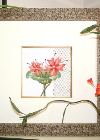 Exotica 1