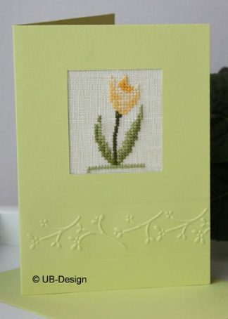 Passepartoutkarte Fb. lindgrün