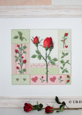 Rosenfeuerwerk