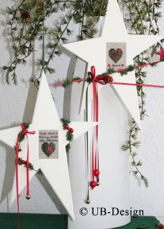 Passepartout-Stern Snow-white