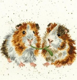 Stickpackung - Lettuce be Friends