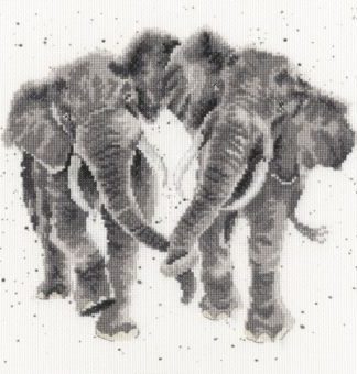 Stickpackung - Age is Irrelephant
