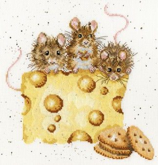 Stickpackung - Crackers About Cheese
