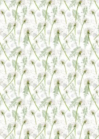 Pusteblume - Baumwollstoff
