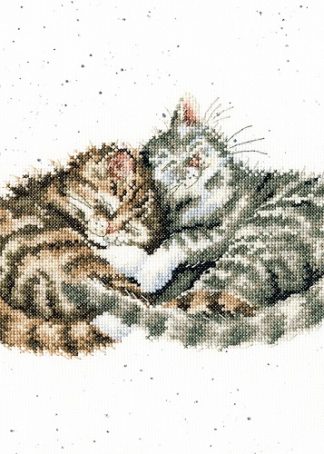 Sweet Dreams